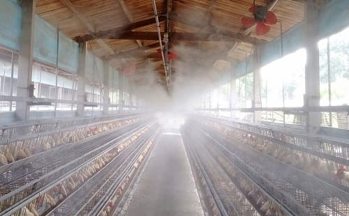噴霧-雞舍