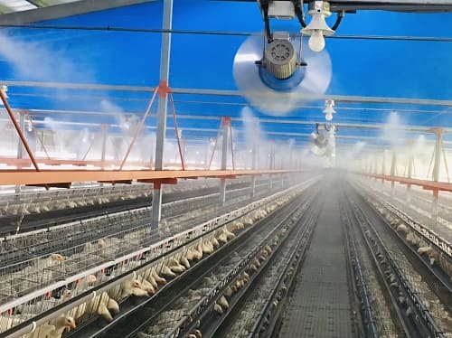 嘉藝造霧-畜牧消毒降溫